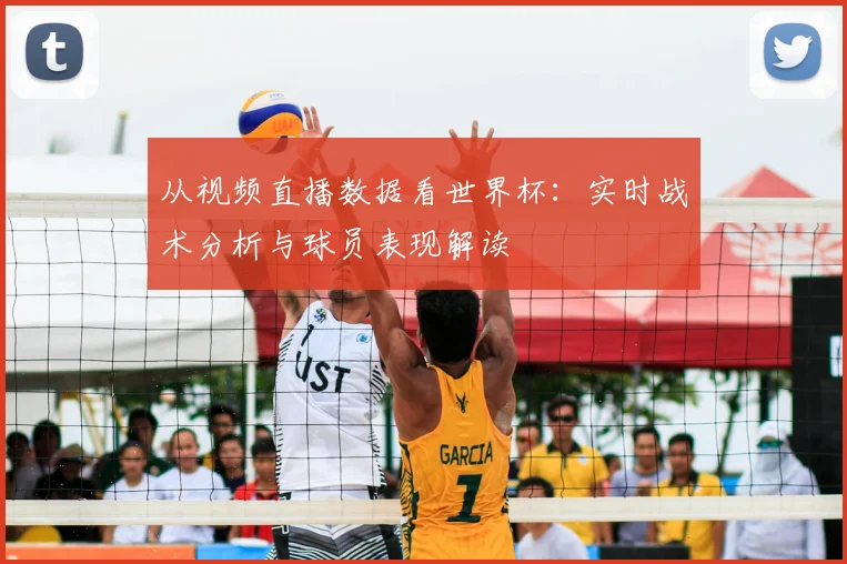 从视频直播数据看世界杯：实时战术分析与球员表现解读