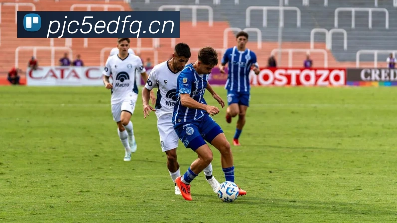 星空体育在线官网入口APP 封面图